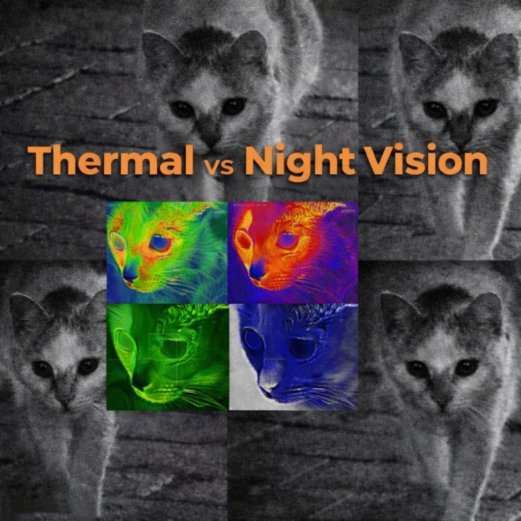 Night Vision vs Thermal: Our Real-World Test in the Dark