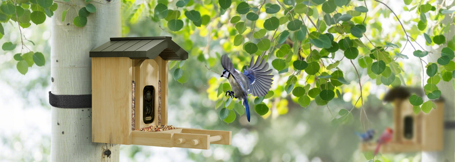 Smart Bird Feeder