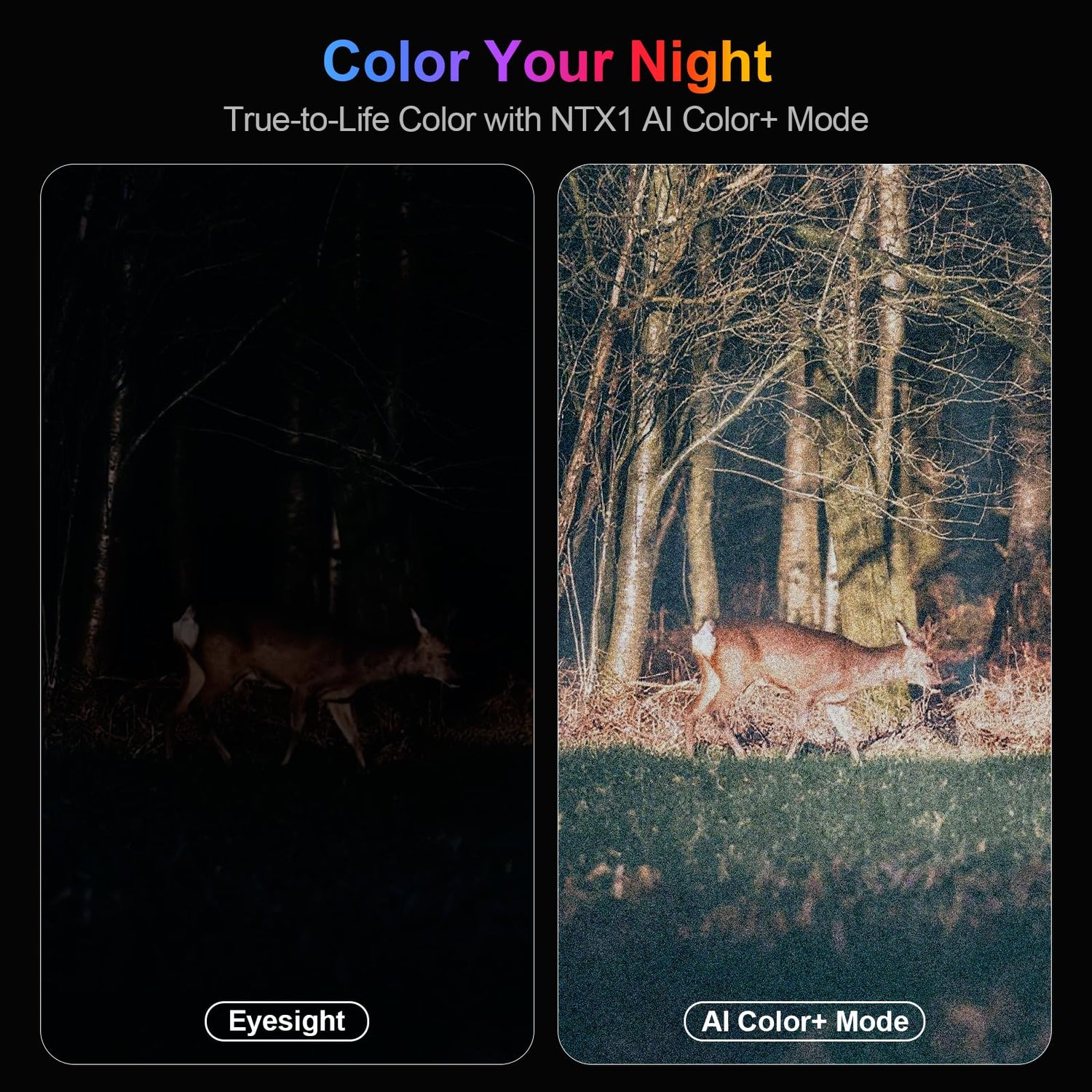 True 4K Night Vision Binoculars – Night Thunder X1 Night Vision Goggles for Adults with 3940ft Range, 64GB Card for Camping & Security