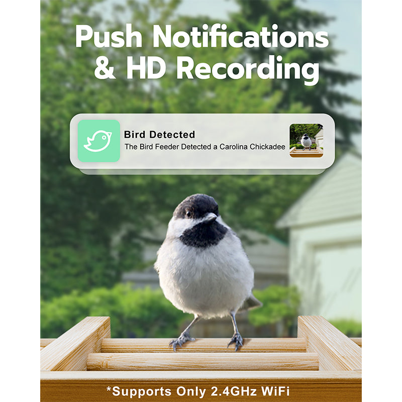 Bird Feeder with Camera, Smart Bird Feeder for Outdoors, Wild Birds Feeders with Solar Panel