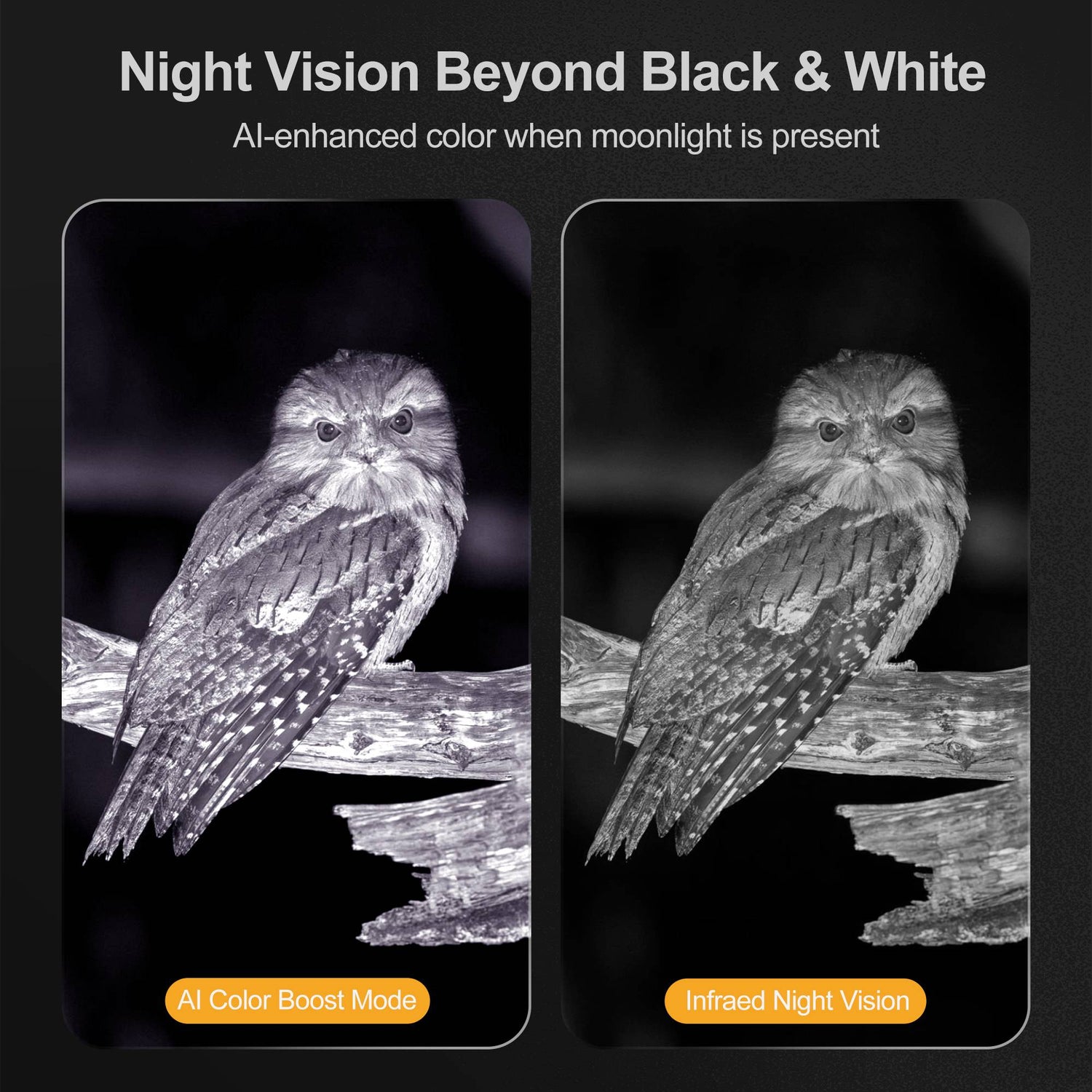 Night Thunder X3 Night Vision Goggles – 4K Binoculars for Adults with 40MP Photo, 8X Zoom, 3