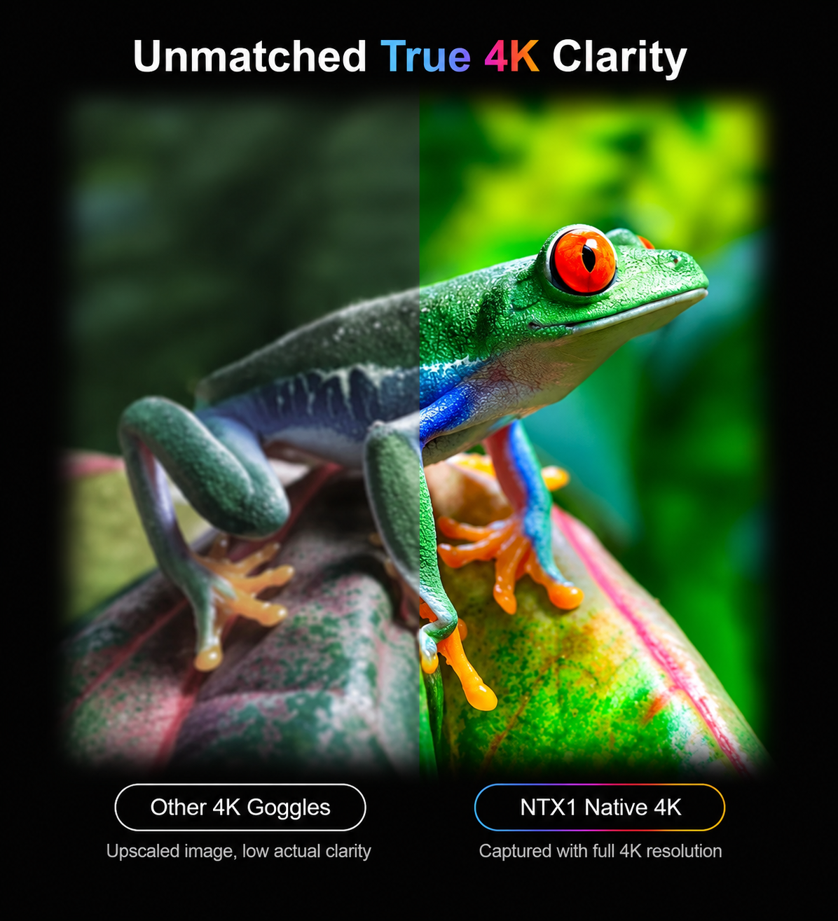 Native 4K vs. Upscaled 4K